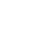 us-ssa-white White SSA